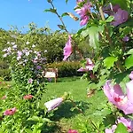 Malvasia - Adults Only Hotel