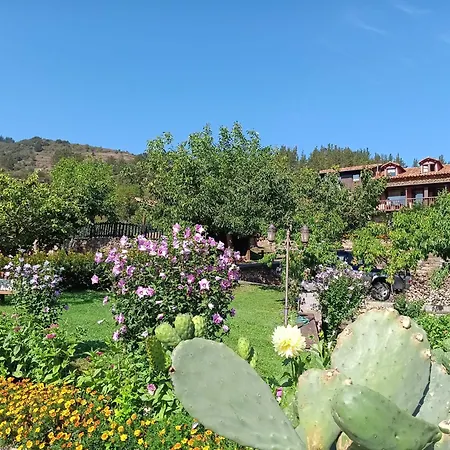 Malvasia - Adults Only