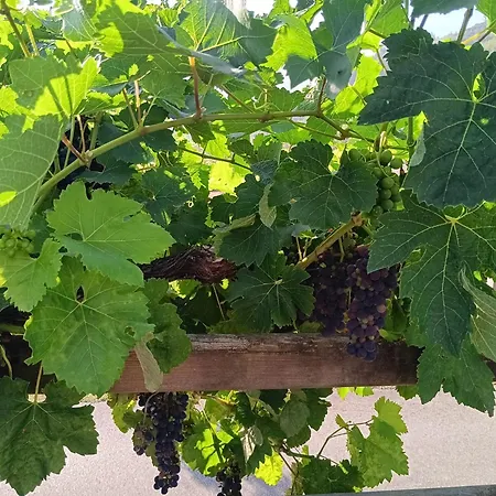 Hotell Malvasia - Adults Only Cabezón de Liébana