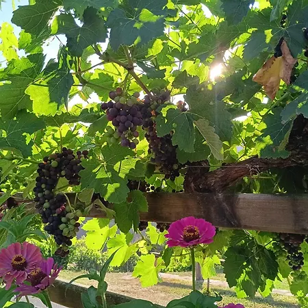 Hotell Malvasia - Adults Only