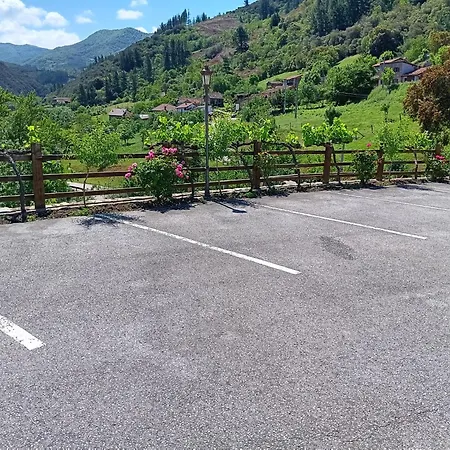 Malvasia - Adults Only