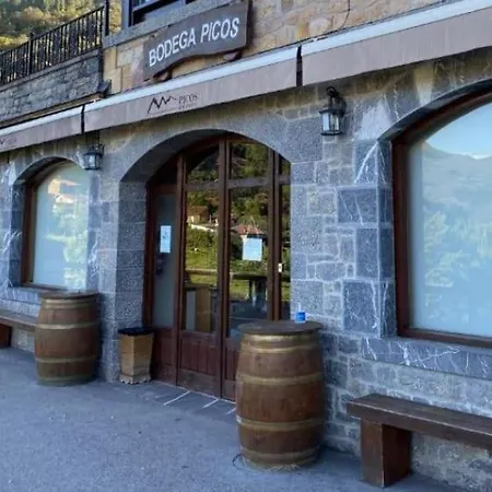 Malvasia - Adults Only