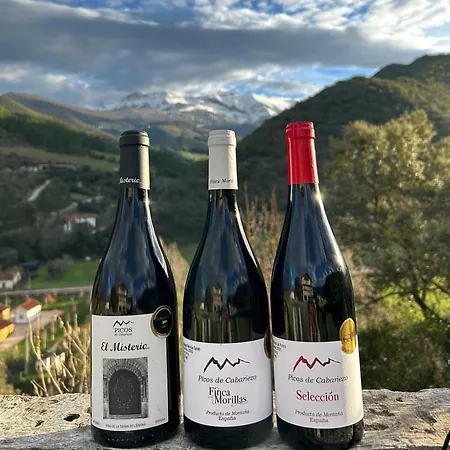 Malvasia - Adults Only 3*