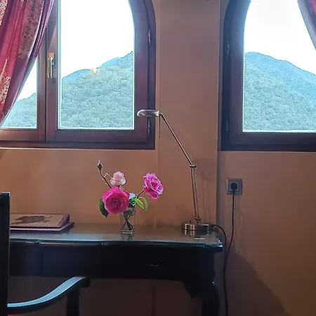 Malvasia - Adults Only