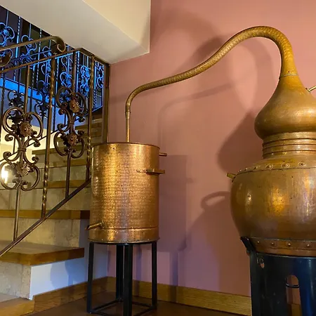 Malvasia - Adults Only