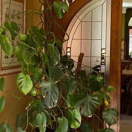 Hotell Malvasia - Adults Only Cabezón de Liébana