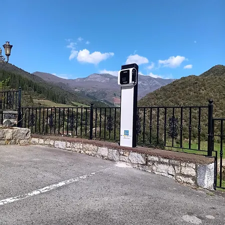 Malvasia - Adults Only Cabezón de Liébana