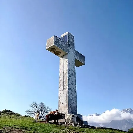 Malvasia - Adults Only Cabezón de Liébana