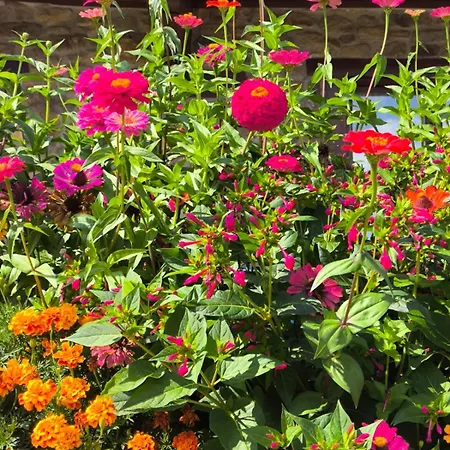 Malvasia - Adults Only Hotell 3*