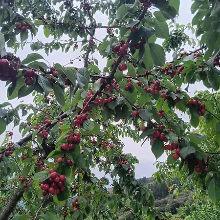 فندق Malvasia - Adults Only 3*