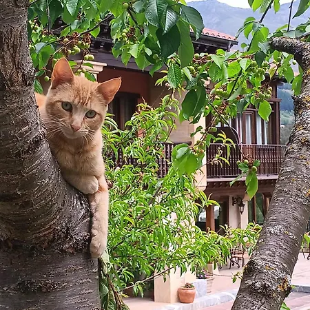 Hotell Malvasia - Adults Only Cabezón de Liébana