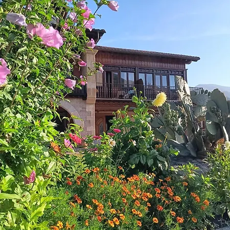 Malvasia - Adults Only 3* Cabezón de Liébana