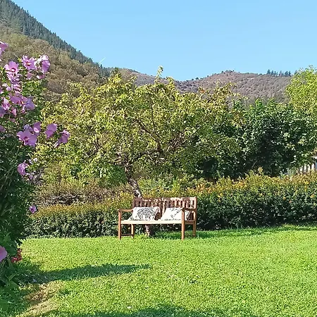 Malvasia - Adults Only Cabezon de Liebana