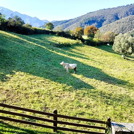 Malvasia - Adults Only 3* Cabezón de Liébana