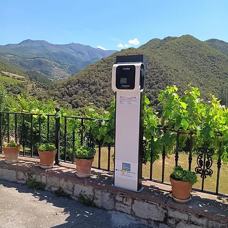 Malvasia - Adults Only