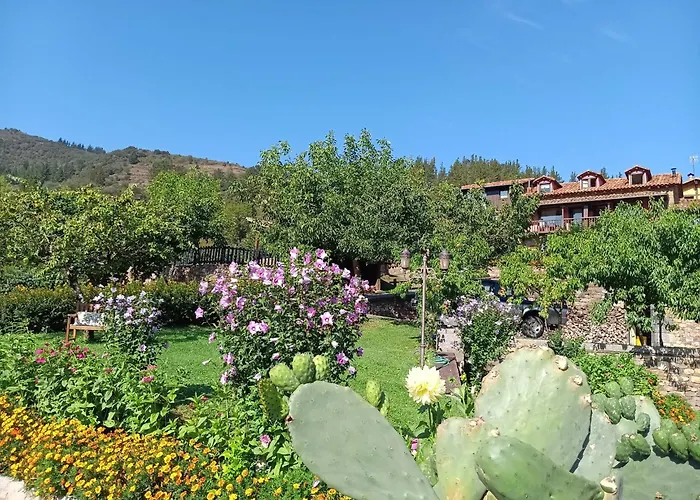 Malvasia - Adults Only