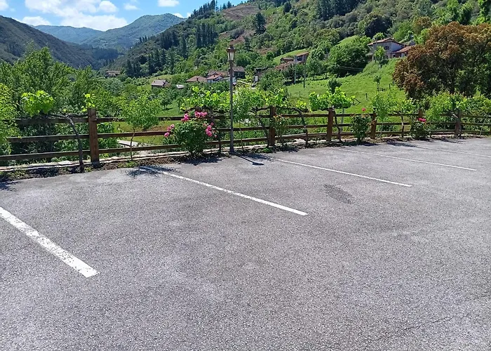 Malvasia - Adults Only