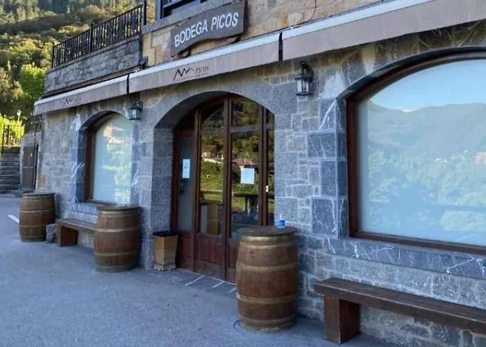 Malvasia - Adults Only