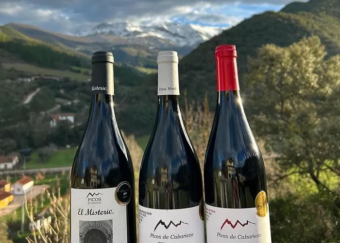 Malvasia - Adults Only 3*