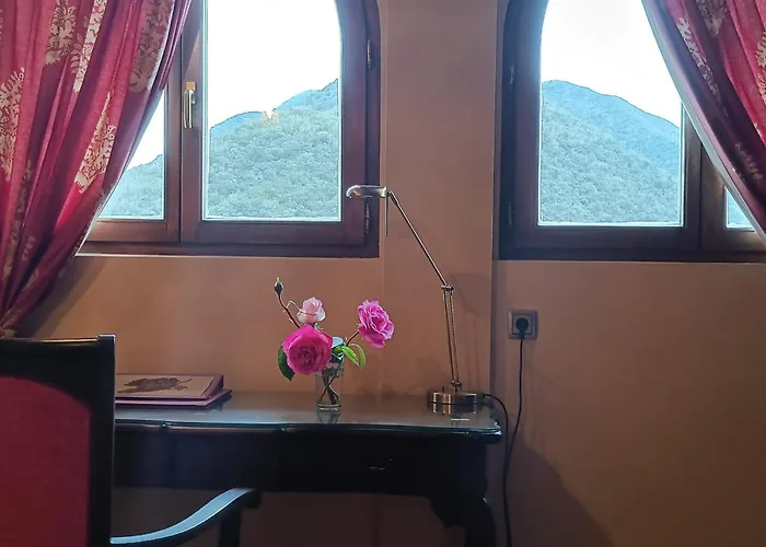 Malvasia - Adults Only