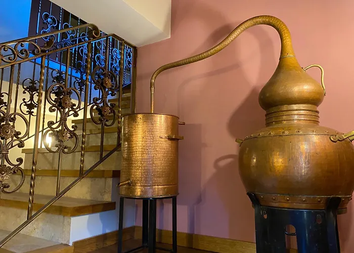 Malvasia - Adults Only