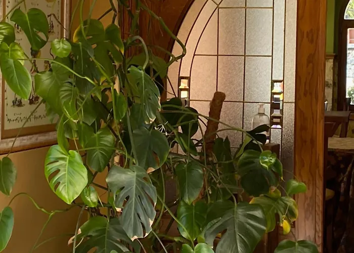 Hotel Malvasia - Adults Only Cabezón de Liébana