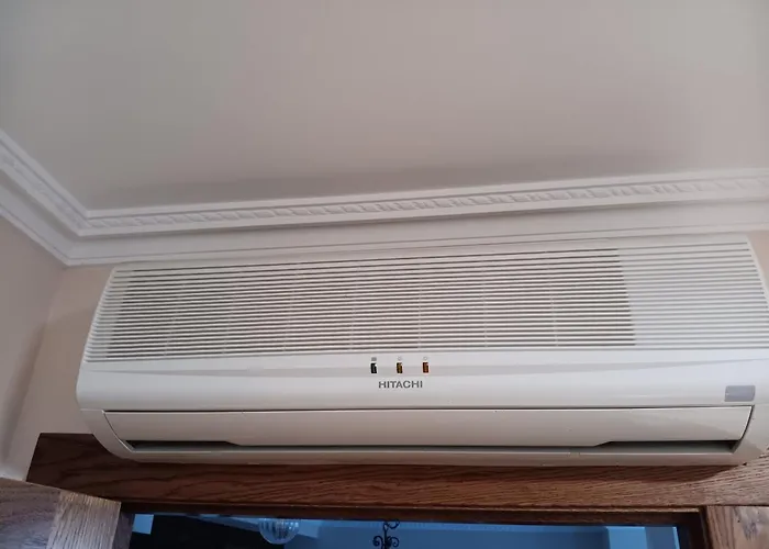 Malvasia - Adults Only