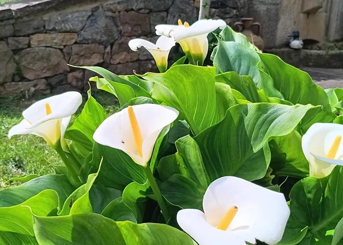 Malvasia - Adults Only Hotel