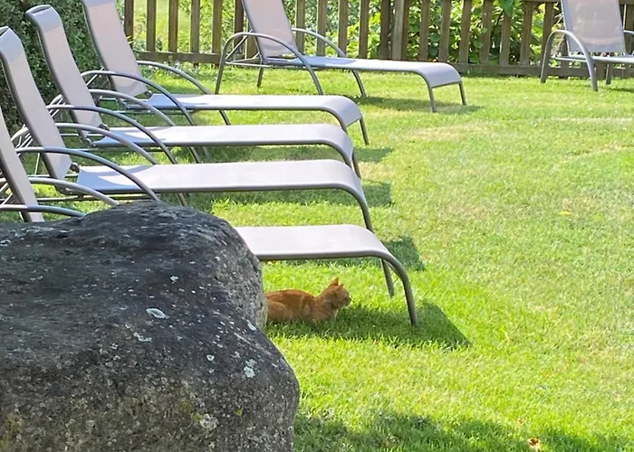 Malvasia - Adults Only Hotel Cabezón de Liébana