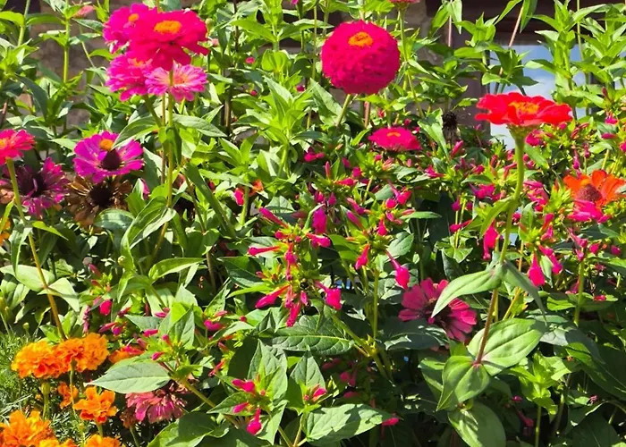 Malvasia - Adults Only Hotel 3*