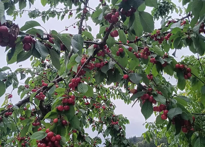 Hotel Malvasia - Adults Only 3*