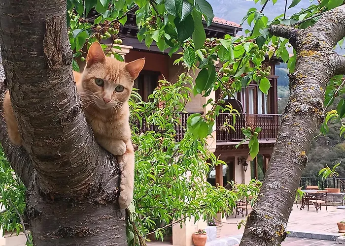 Hotel Malvasia - Adults Only Cabezón de Liébana