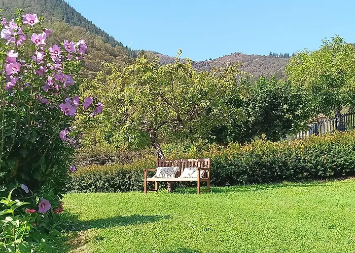 Malvasia - Adults Only Cabezón de Liébana