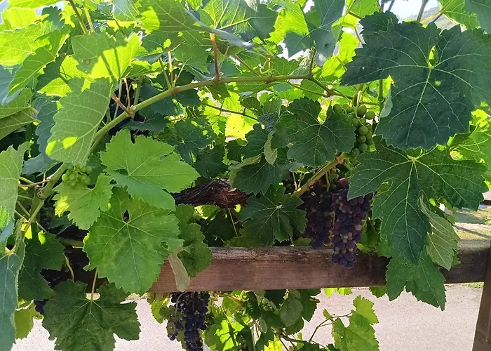 Malvasia - Adults Only Hotel Cabezón de Liébana