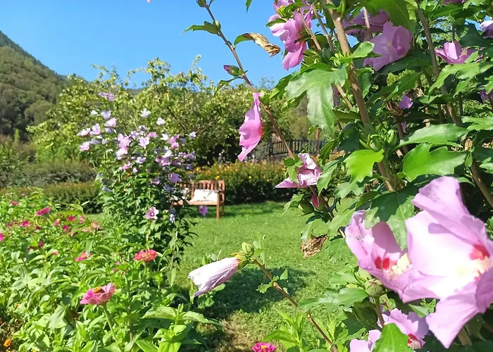 Malvasia - Adults Only Hotel