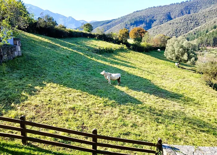 Malvasia - Adults Only 3* Cabezón de Liébana